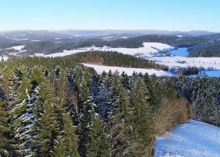 Gruppenhaus Meizeit-bayerischer Wald-richterhof * Kollnburg