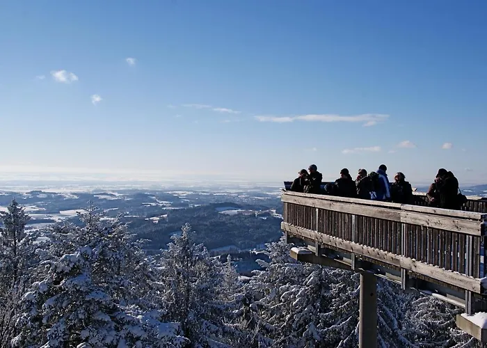 Gruppenhaus Meizeit-bayerischer Wald-richterhof بيت للعطل Kollnburg